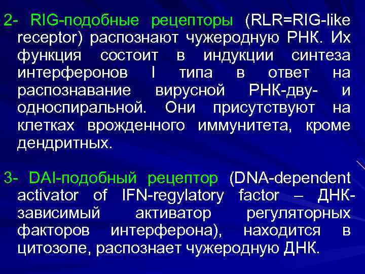 2 - RIG-подобные рецепторы (RLR=RIG-like receptor) распознают чужеродную РНК. Их функция состоит в индукции