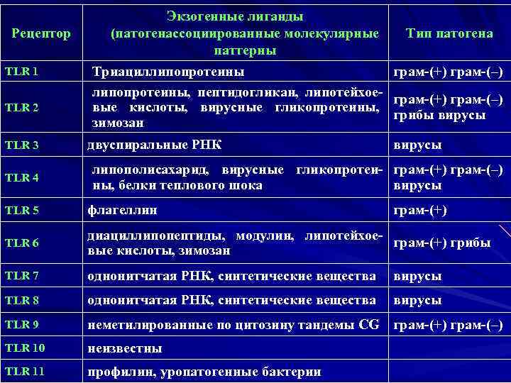 Рецептор TLR 1 TLR 2 TLR 3 TLR 4 Экзогенные лиганды Тип патогена (патогенассоциированные