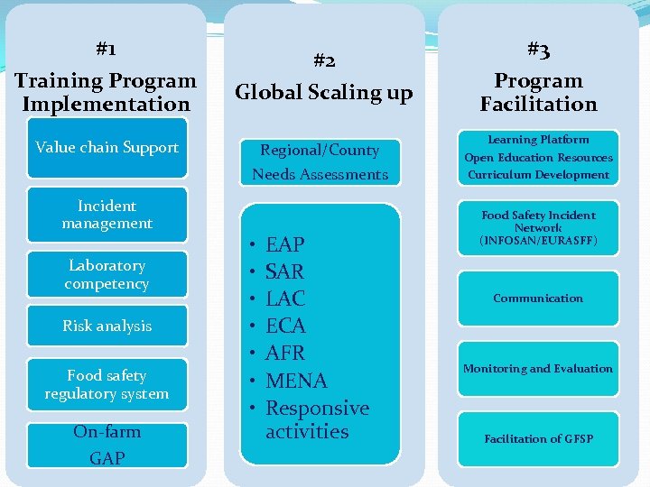 #1 Training Program Implementation #2 Global Scaling up Value chain Support Regional/County Needs Assessments