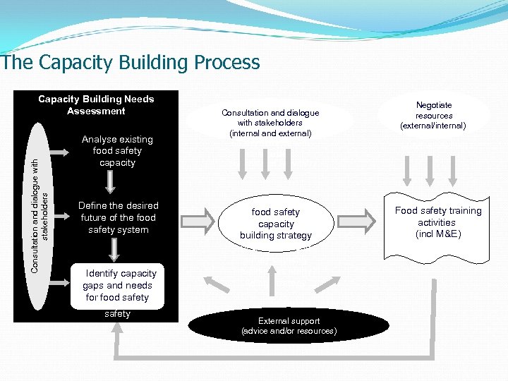 The Capacity Building Process Consultation and dialogue with stakeholders Capacity Building Needs Assessment Analyse