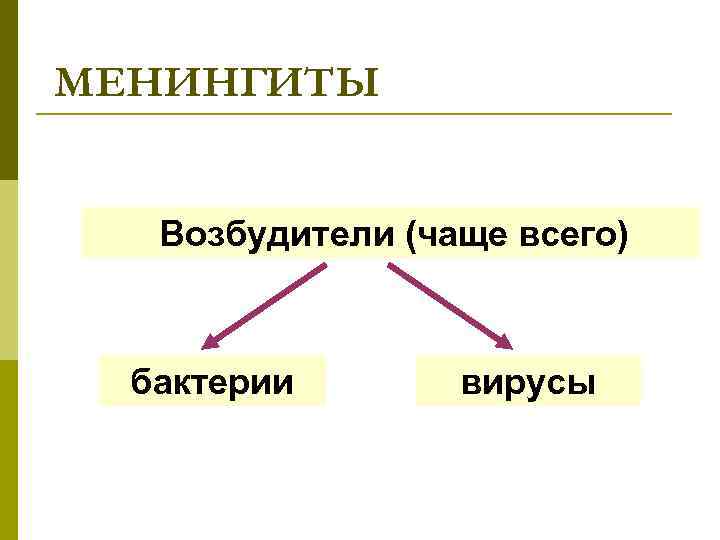 МЕНИНГИТЫ Возбудители (чаще всего) бактерии вирусы 