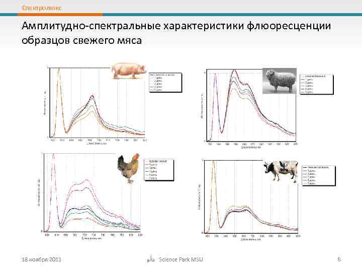 Спектролюкс Амплитудно-спектральные характеристики флюоресценции образцов свежего мяса 18 ноября 2011 Science Park MSU 6
