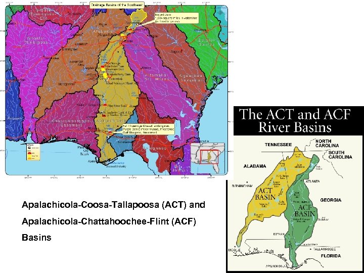 Apalachicola-Coosa-Tallapoosa (ACT) and Apalachicola-Chattahoochee-Flint (ACF) Basins 15 