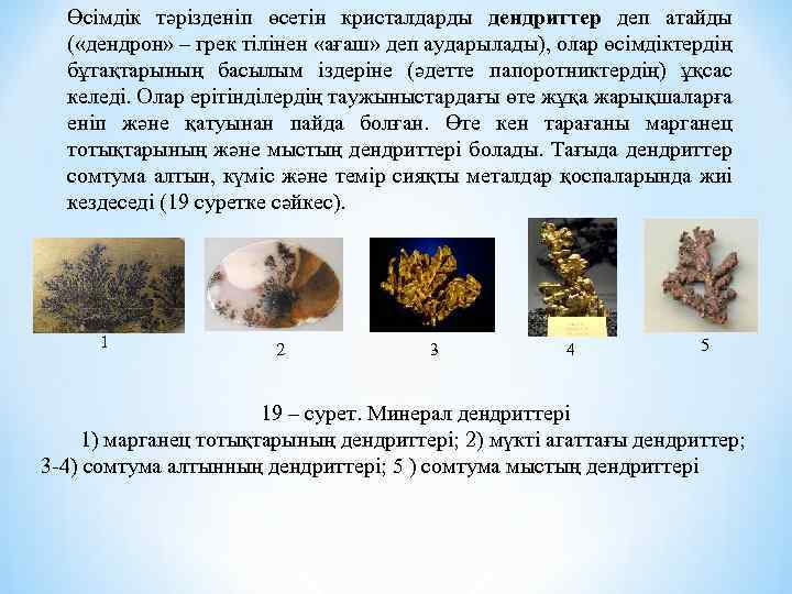 Өсімдік тәрізденіп өсетін кристалдарды дендриттер деп атайды ( «дендрон» – грек тілінен «ағаш» деп