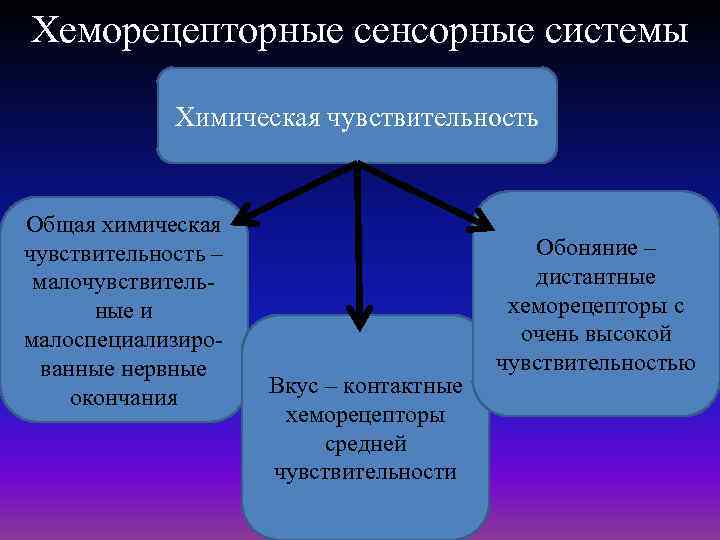 Хеморецепторные сенсорные системы Химическая чувствительность Общая химическая чувствительность – малочувствительные и малоспециализированные нервные окончания