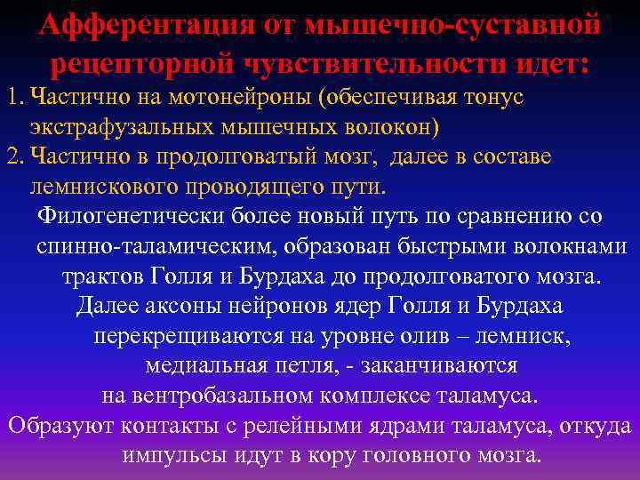 Афферентация от мышечно-суставной рецепторной чувствительности идет: 1. Частично на мотонейроны (обеспечивая тонус экстрафузальных мышечных