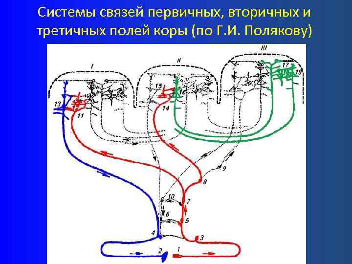 Первичная связь