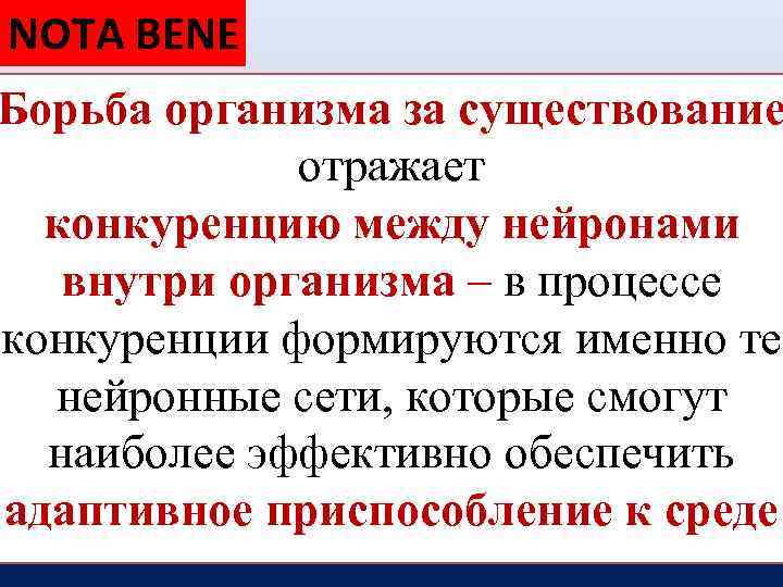 NOTA BENE Борьба организма за существование отражает конкуренцию между нейронами внутри организма – в