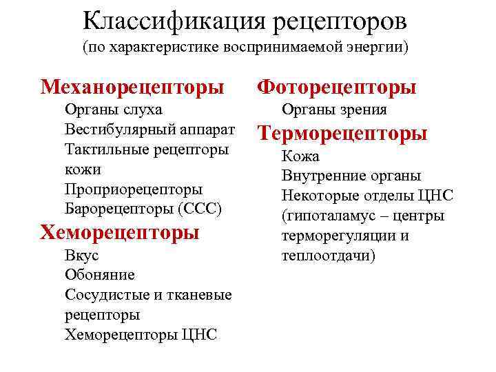 Классификация рецепторов (по характеристике воспринимаемой энергии) Механорецепторы Органы слуха Вестибулярный аппарат Тактильные рецепторы кожи