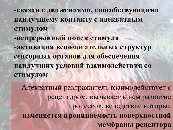 -связан с движениями, способствующими наилучшему контакту с адекватным стимулом -непрерывный поиск стимула -активация вспомогательных