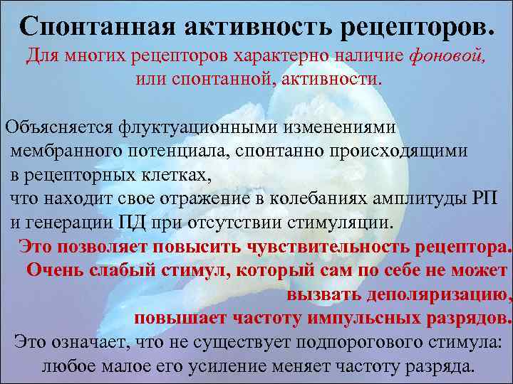 Спонтанная активность рецепторов. Для многих рецепторов характерно наличие фоновой, или спонтанной, активности. Объясняется флуктуационными