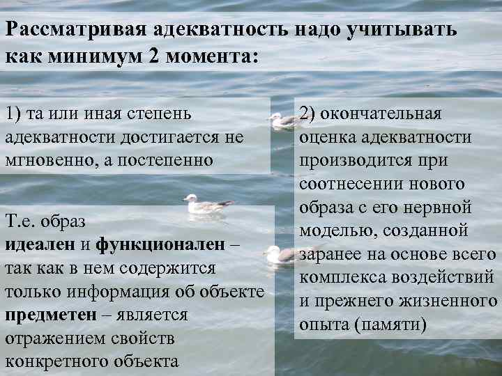 Рассматривая адекватность надо учитывать как минимум 2 момента: 1) та или иная степень адекватности