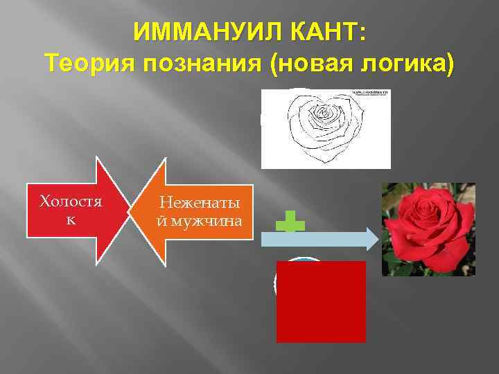 ИММАНУИЛ КАНТ: Теория познания (новая логика) Холостя к Неженаты й мужчина 