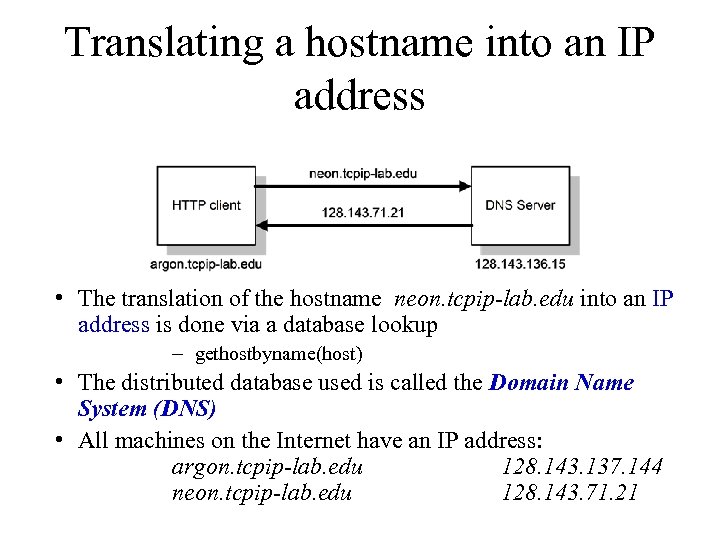 Translating a hostname into an IP address • The translation of the hostname neon.