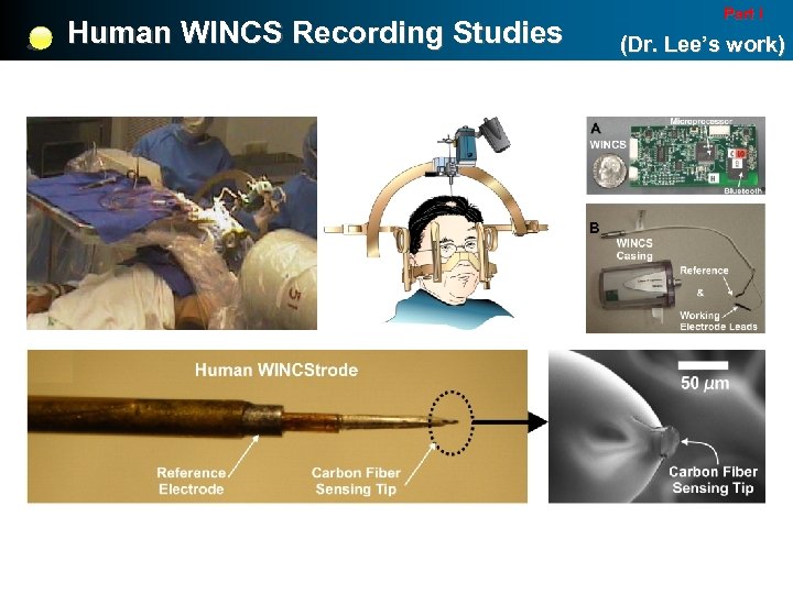 Human WINCS Recording Studies Part I (Dr. Lee’s work) 