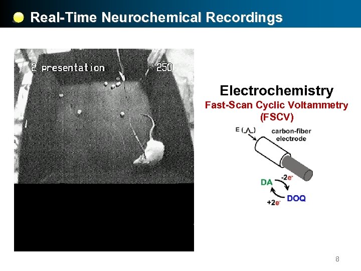 Real-Time Neurochemical Recordings Electrochemistry Fast-Scan Cyclic Voltammetry (FSCV) 8 
