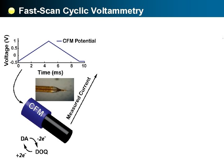 Fast-Scan Cyclic Voltammetry -0. 4 1. 0 Voltage -0. 4 