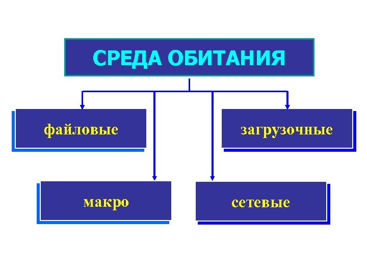 СРЕДА ОБИТАНИЯ файловые макро загрузочные сетевые 