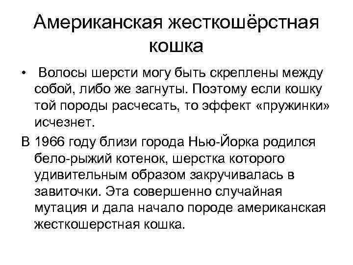 Американская жесткошёрстная кошка • Волосы шерсти могу быть скреплены между собой, либо же загнуты.