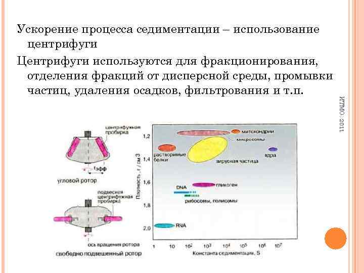 ИТМО. 2011 Ускорение процесса седиментации – использование центрифуги Центрифуги используются для фракционирования, отделения фракций