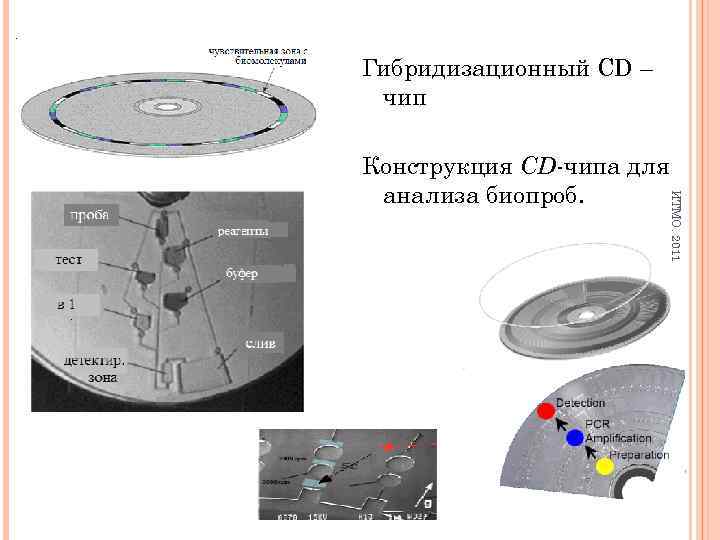 Гибридизационный CD – чип ИТМО. 2011 Конструкция CD-чипа для анализа биопроб. 