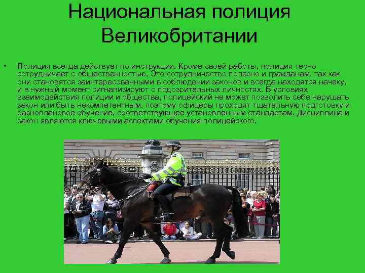 Национальная полиция Великобритании • Полиция всегда действует по инструкции. Кроме своей работы, полиция тесно