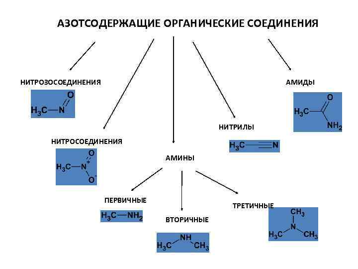 Соединениями являются. Классификация азотсодержащих органических соединений схема. Азотсодержащие органические вещества классификация. Азотсодержащие углеводороды классификация. Азотсодержащие органические соединения схема.