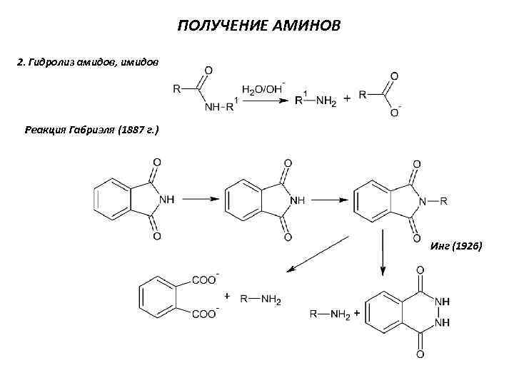 ПОЛУЧЕНИЕ АМИНОВ 2. Гидролиз амидов, имидов Реакция Габриэля (1887 г. ) Инг (1926) 