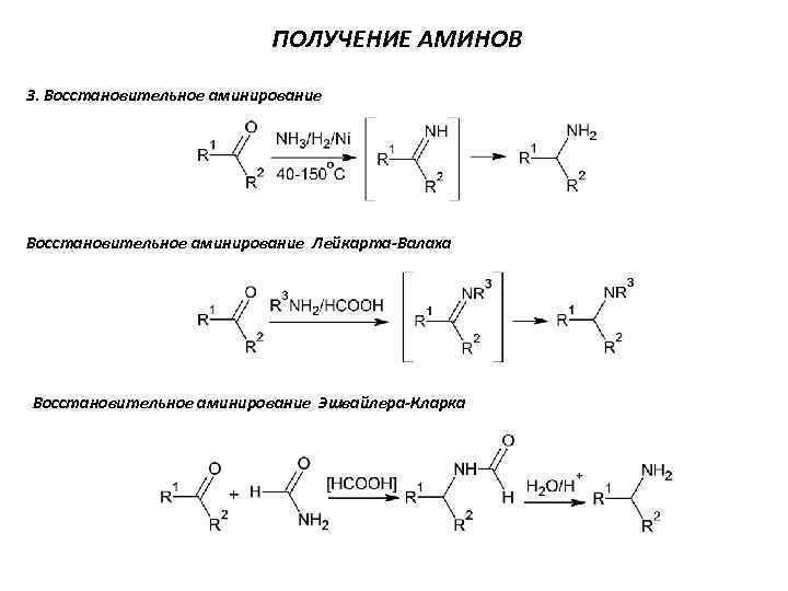 ПОЛУЧЕНИЕ АМИНОВ 3. Восстановительное аминирование Лейкарта-Валаха Восстановительное аминирование Эшвайлера-Кларка 