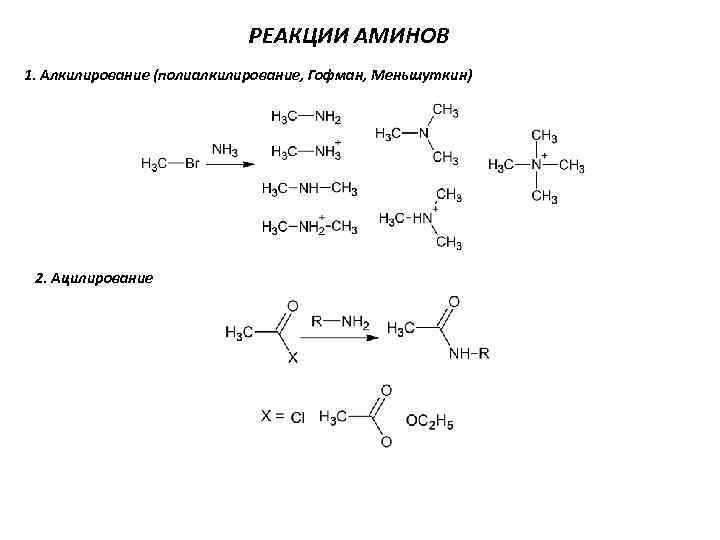 РЕАКЦИИ АМИНОВ 1. Алкилирование (полиалкилирование, Гофман, Меньшуткин) 2. Ацилирование 