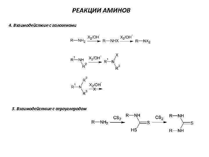 РЕАКЦИИ АМИНОВ 4. Взаимодействие с галогенами 5. Взаимодействие с сероуглеродом 