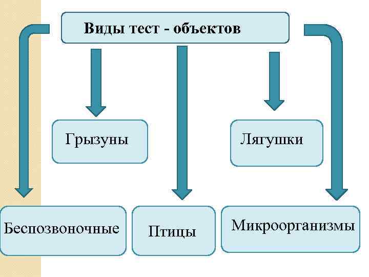 Виды тест - объектов Грызуны Беспозвоночные Лягушки Птицы Микроорганизмы 