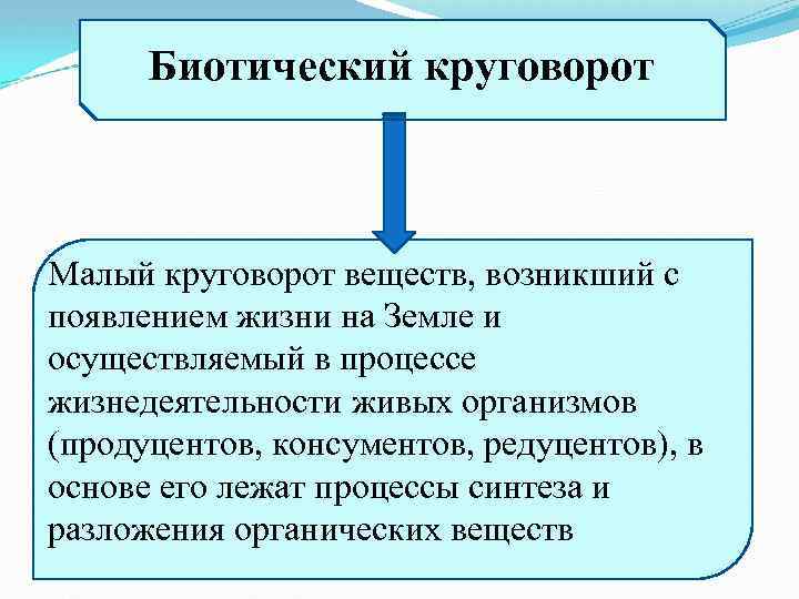 Вещества возникающие. Биотический круговорот веществ. Малый биотический круговорот веществ. Малый биотический круговорот. Биотический круговорот круговорот.