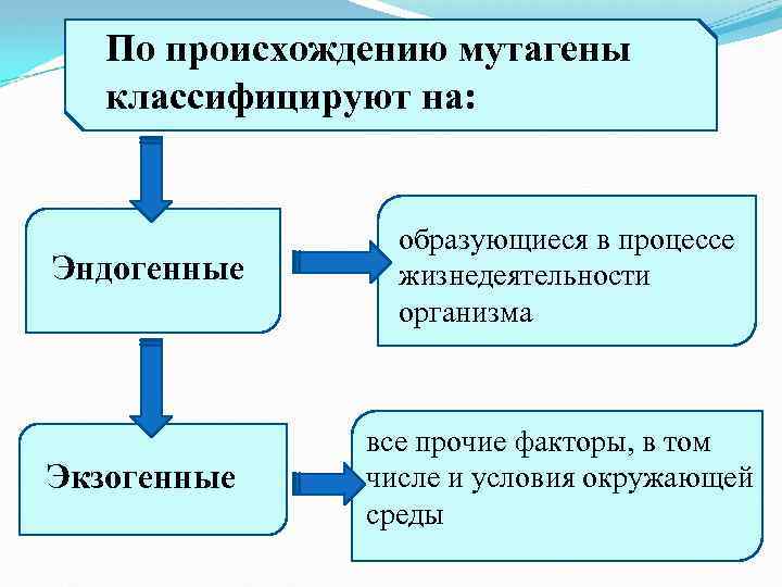 Установите соответствия особенности жизнедеятельности