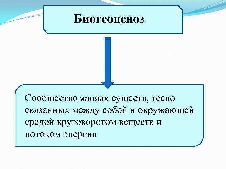 Биогеоценоз Сообщество живых существ, тесно связанных между собой и окружающей средой круговоротом веществ и