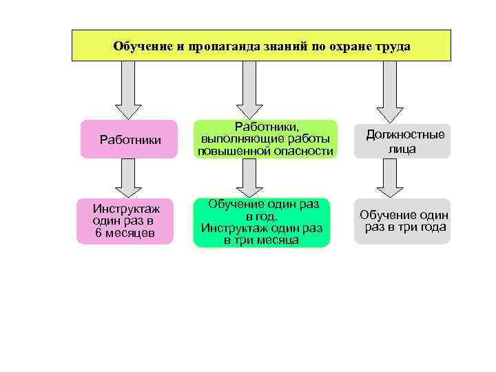 Обучение и пропаганда знаний по охране труда Работники Инструктаж один раз в 6 месяцев