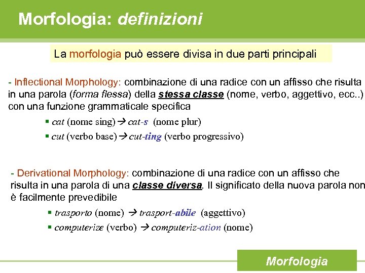 Morfologia: definizioni La morfologia può essere divisa in due parti principali - Inflectional Morphology: