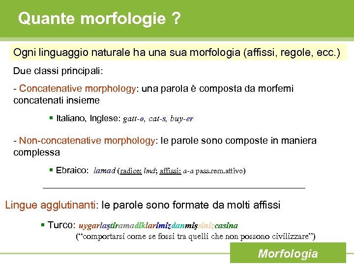 Quante morfologie ? Ogni linguaggio naturale ha una sua morfologia (affissi, regole, ecc. )