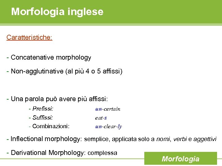 Morfologia inglese Caratteristiche: - Concatenative morphology - Non-agglutinative (al più 4 o 5 affissi)