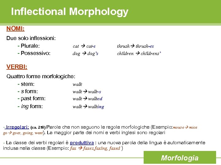 Inflectional Morphology NOMI: Due solo inflessioni: - Plurale: - Possessivo: cat-s dog’s thrush-es childrens’