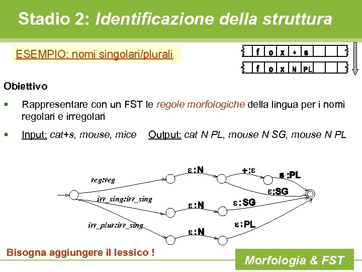 Stadio 2: Identificazione della struttura ESEMPIO: nomi singolari/plurali Obiettivo § Rappresentare con un FST