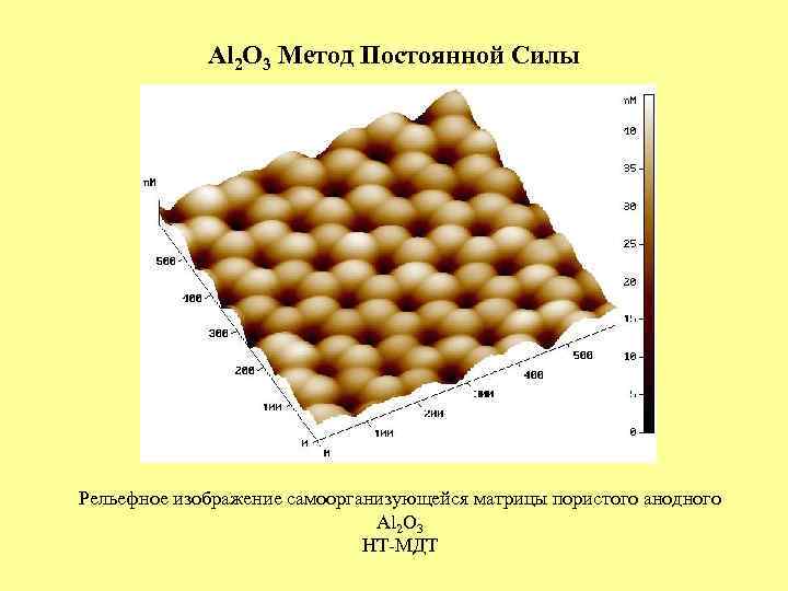 Al 2 O 3 Метод Постоянной Силы Рельефное изображение самоорганизующейся матрицы пористого анодного Al
