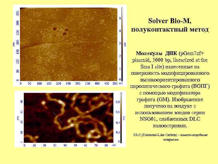 Solver Bio-M, полуконтактный метод Молекулы ДНК (p. Gem 7 zf+ plasmid, 3000 bp, linearized