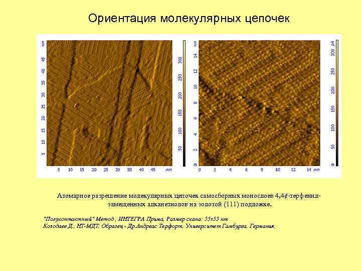 Ориентация молекулярных цепочек Атомарное разрешение молекулярных цепочек самосборных монослоев 4, 4¢-терфенилзамещенных алканетиолов на золотой