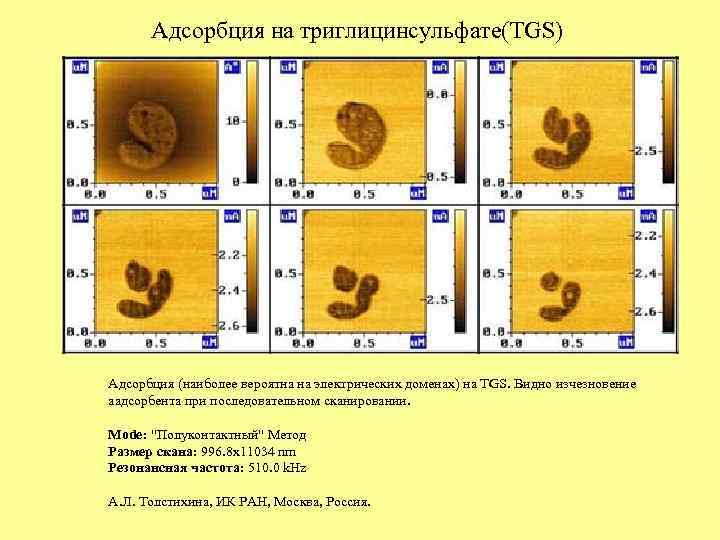 Адсорбция на триглицинсульфате(TGS) Адсорбция (наиболее вероятна на электрических доменах) на TGS. Видно изчезновение аадсорбента