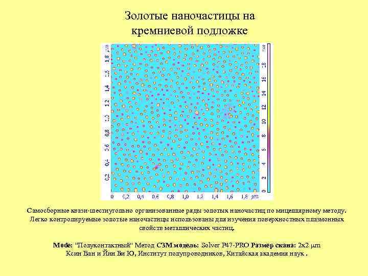 Золотые наночастицы на кремниевой подложке Самосборные квази-шестиугольно организованные ряды золотых наночастиц по мицеллярному методу.
