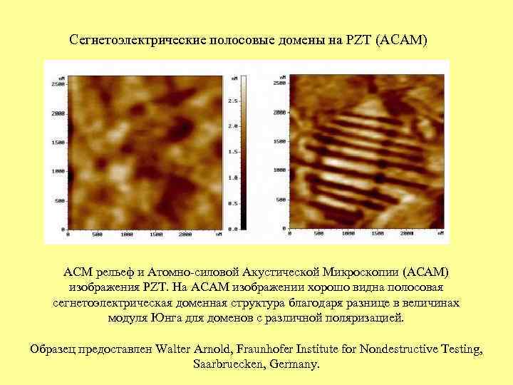 Сегнетоэлектрические полосовые домены на PZT (AСAM) ACМ рельеф и Атомно-силовой Акустической Микроскопии (АСАМ) изображения