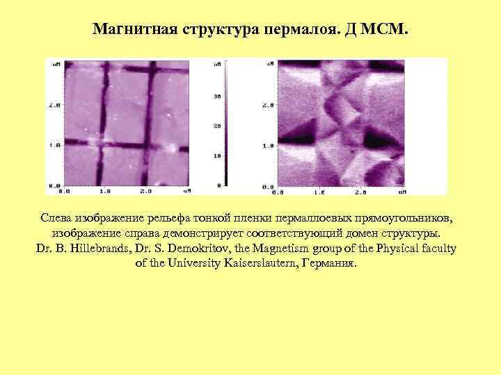 Магнитная структура пермалоя. Д МСМ. Слева изображение рельефа тонкой пленки пермаллоевых прямоугольников, изображение справа