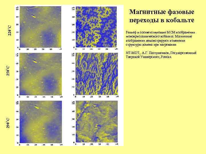 220˚C Магнитные фазовые переходы в кобальте Рельеф и соответствующие МСМ изображения монокристаллического кобальта. Магнитные