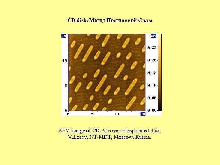 CD disk. Метод Постоянной Силы AFM image of CD Al cover of replicated disk.